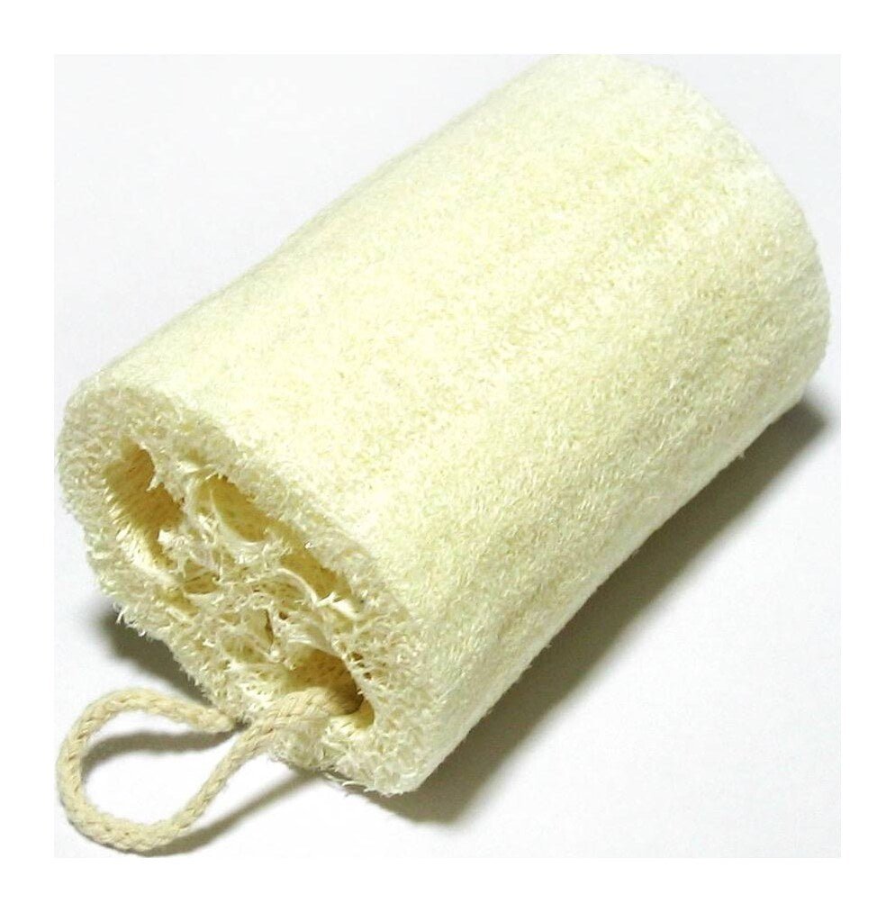 Asian loofah